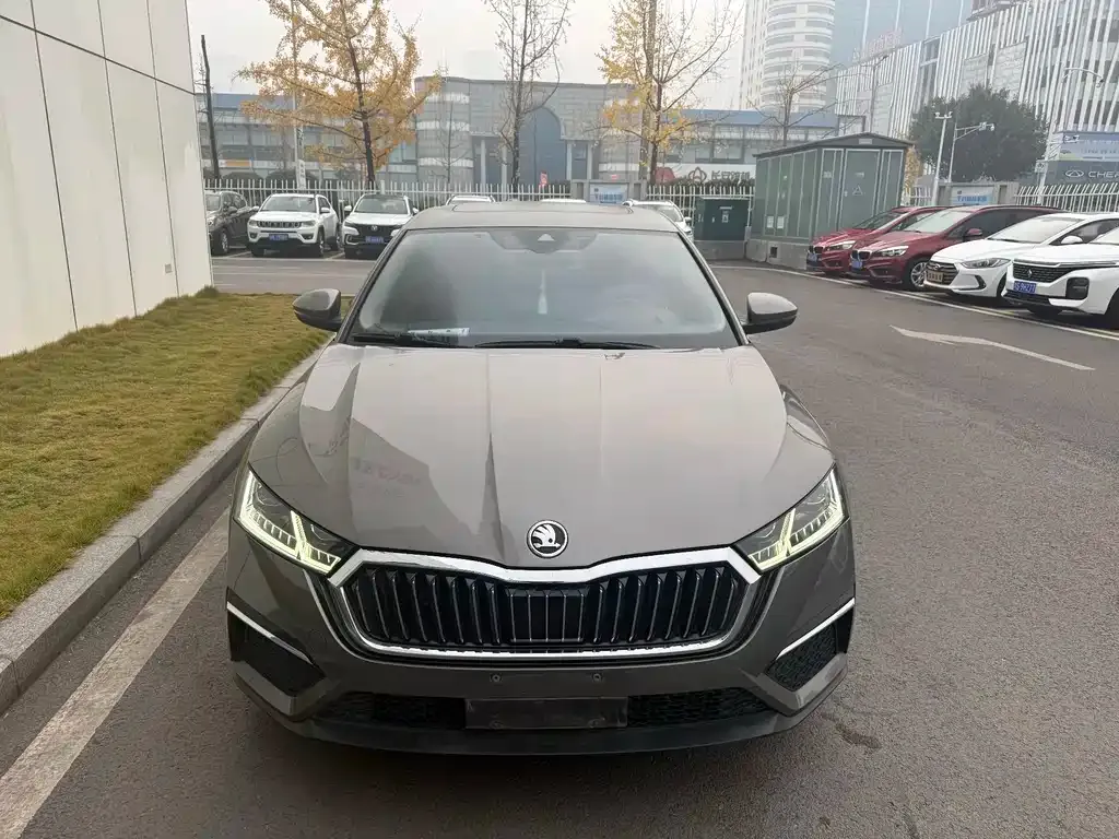 Skoda Octavia 2021 из CN, фото 2
