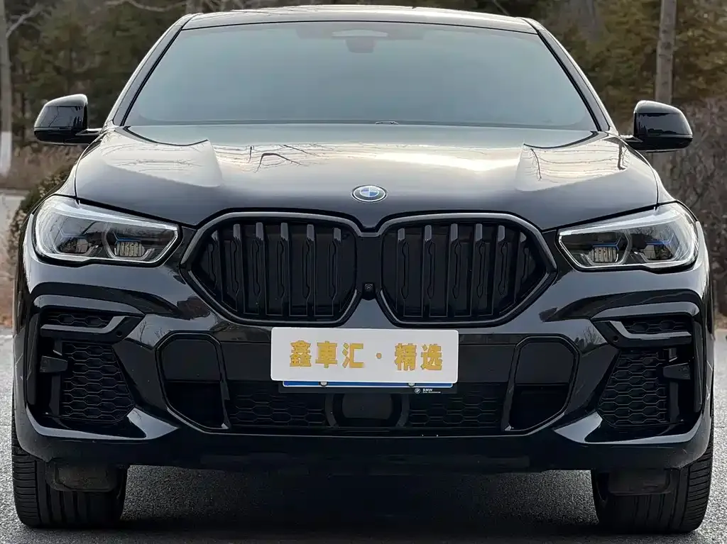 BMW X6 2023 из CN, фото 5
