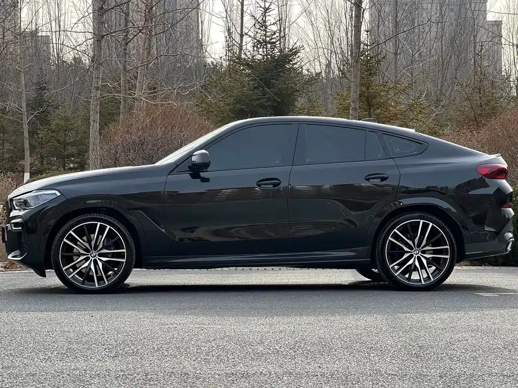 BMW X6 2023 из CN, фото 9