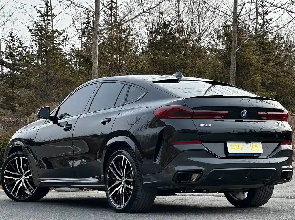 BMW X6 2023 из CN, фото 8