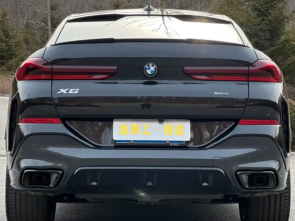BMW X6 2023 из CN, фото 10