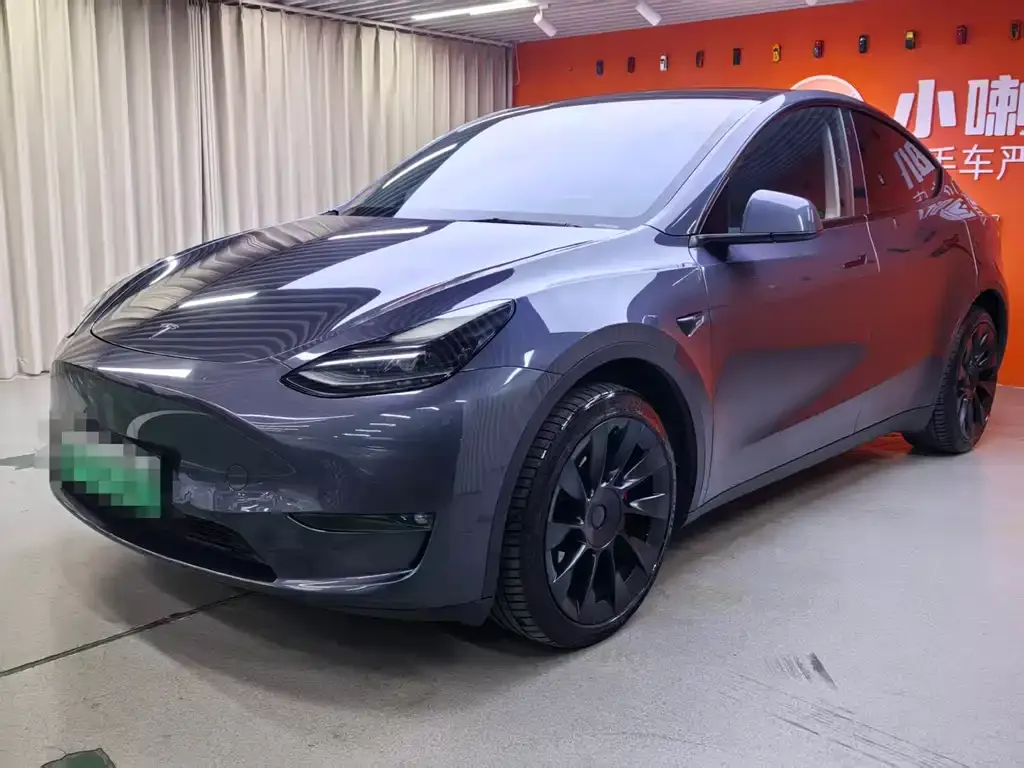 Tesla Model Y 2021 из CN, фото 1