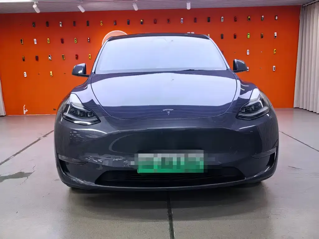 Tesla Model Y 2021 из CN, фото 3