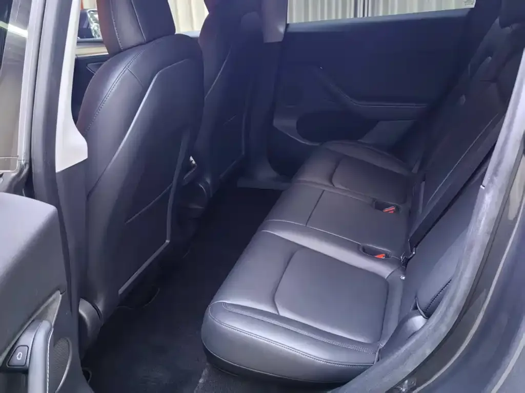 Tesla Model Y 2021 из CN, фото 2