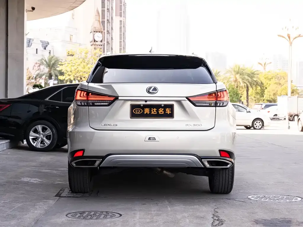 Lexus RX 2022 из CN, фото 5