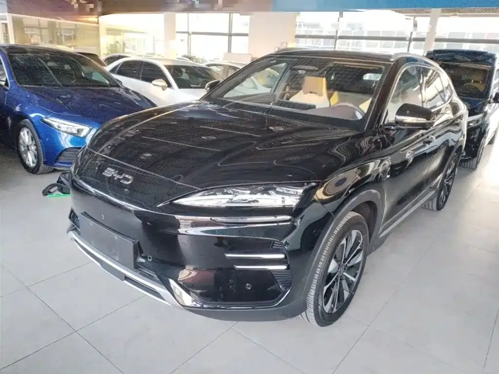 BYD PLUS New Energy 2025 из CN, фото 1