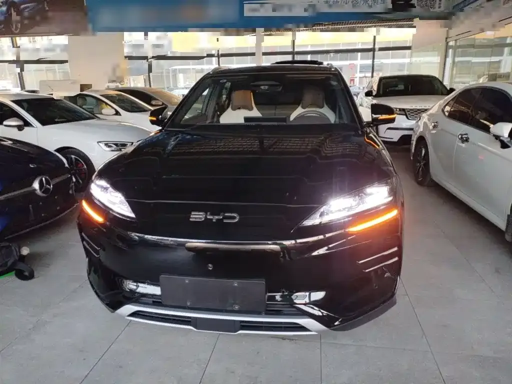 BYD PLUS New Energy 2025 из CN, фото 2