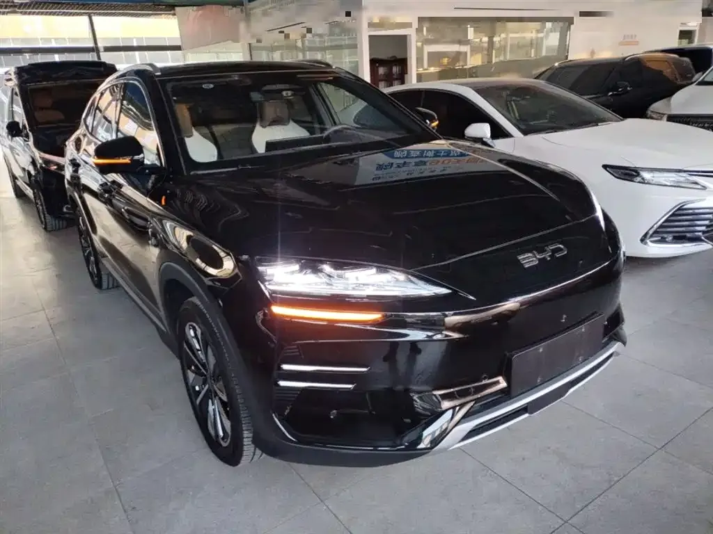 BYD PLUS New Energy 2025 из CN, фото 4