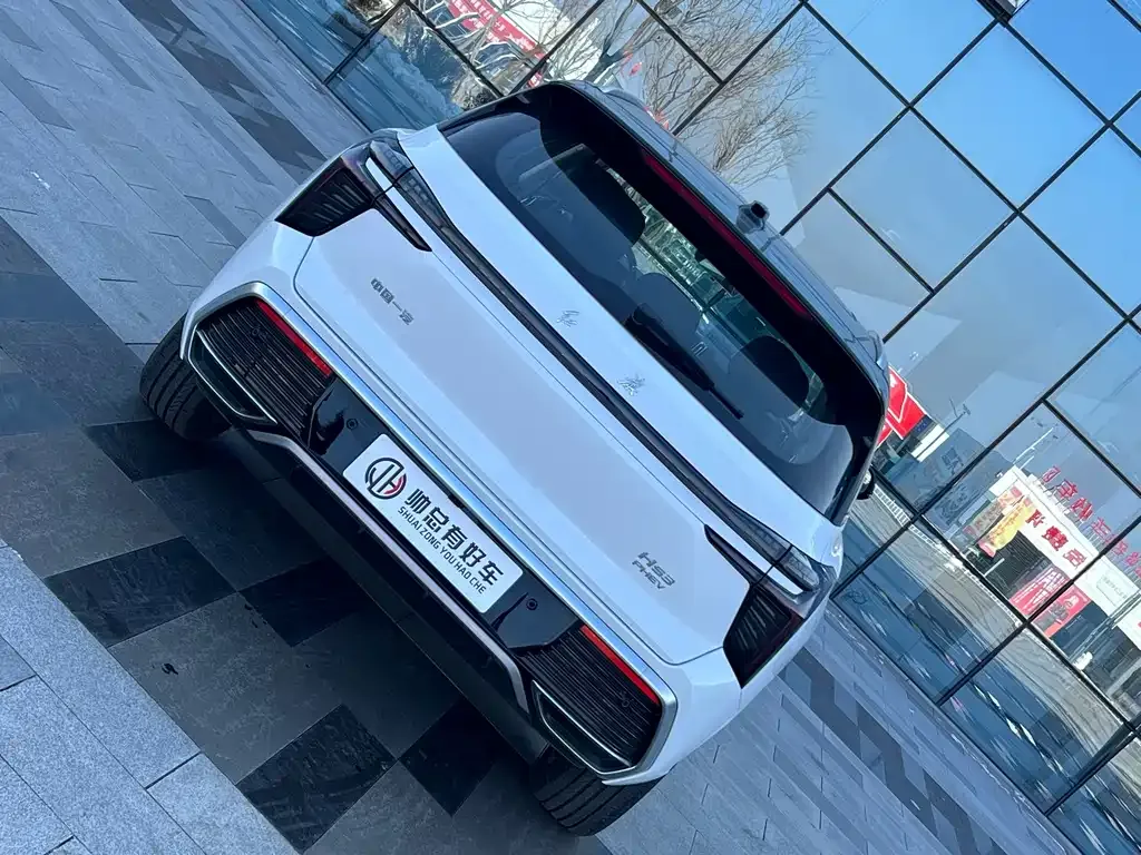 Hongqi HS3 PHEV 2025 из CN, фото 8