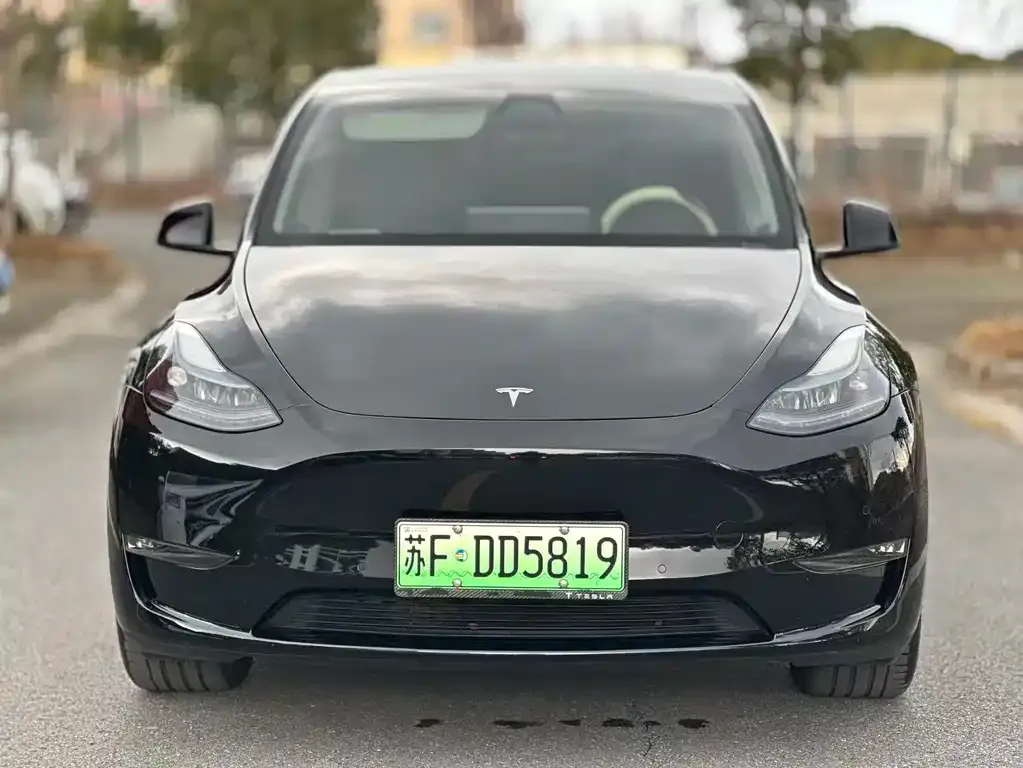 Tesla Model Y 2024 из CN, фото 7