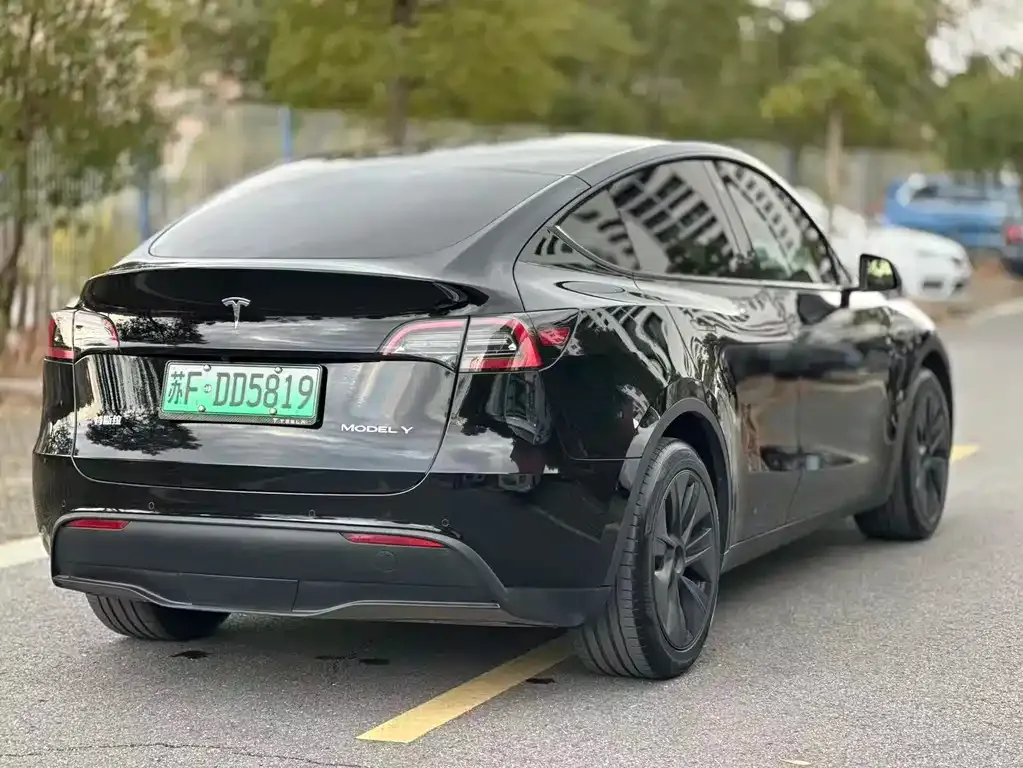 Tesla Model Y 2024 из CN, фото 9