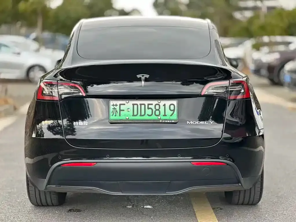 Tesla Model Y 2024 из CN, фото 6