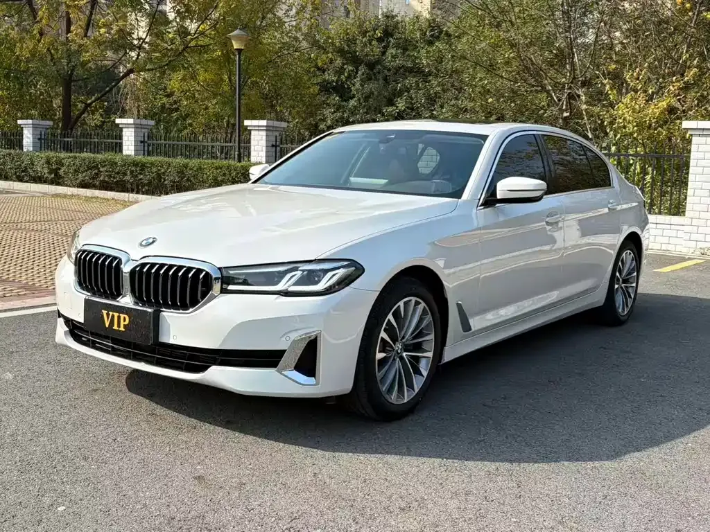 BMW 5 Series 2021 из CN, фото 1