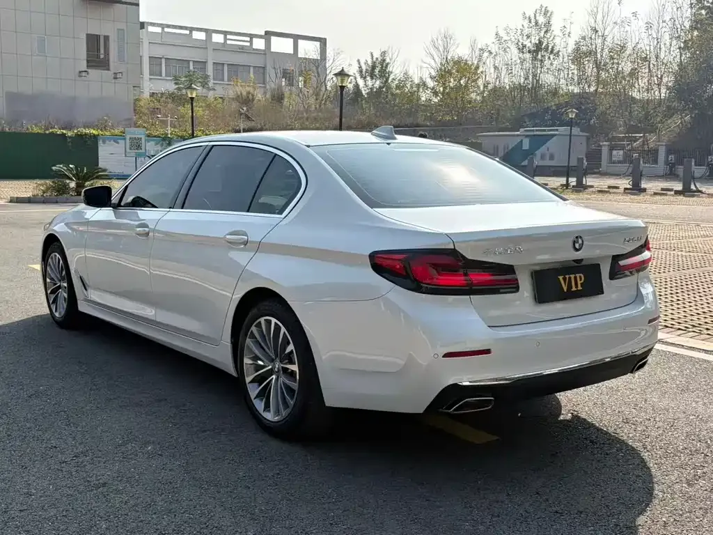 BMW 5 Series 2021 из CN, фото 6