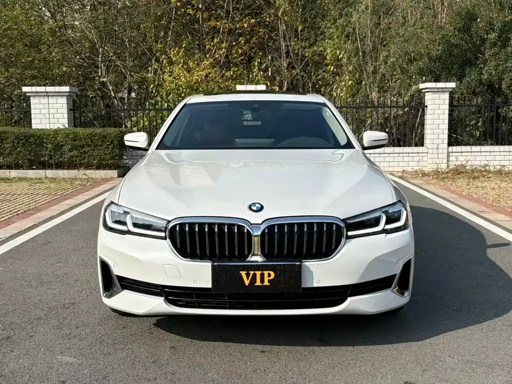 BMW 5 Series 2021 из CN, фото 9