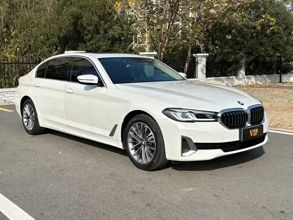 BMW 5 Series 2021 из CN, фото 10