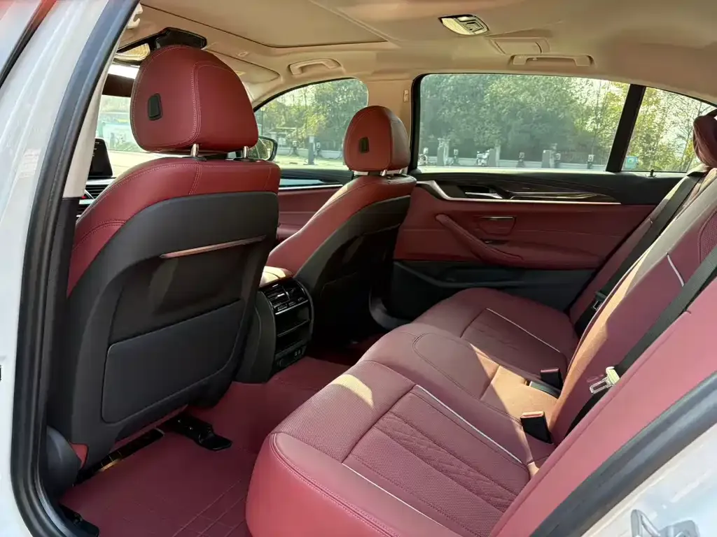 BMW 5 Series 2021 из CN, фото 3