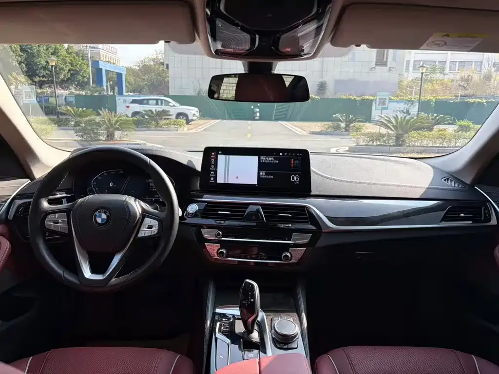 BMW 5 Series 2021 из CN, фото 2