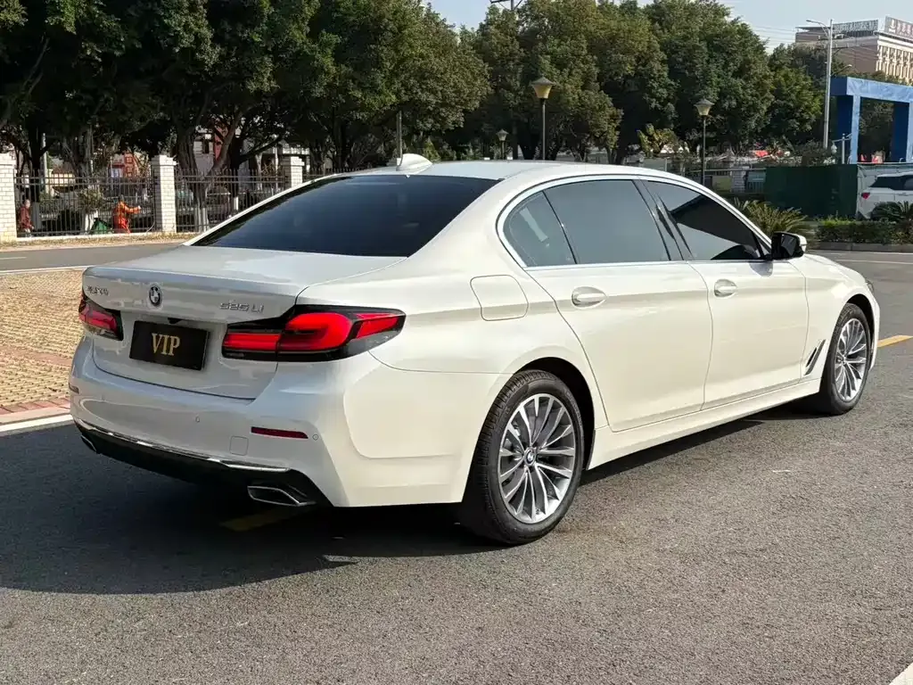 BMW 5 Series 2021 из CN, фото 5