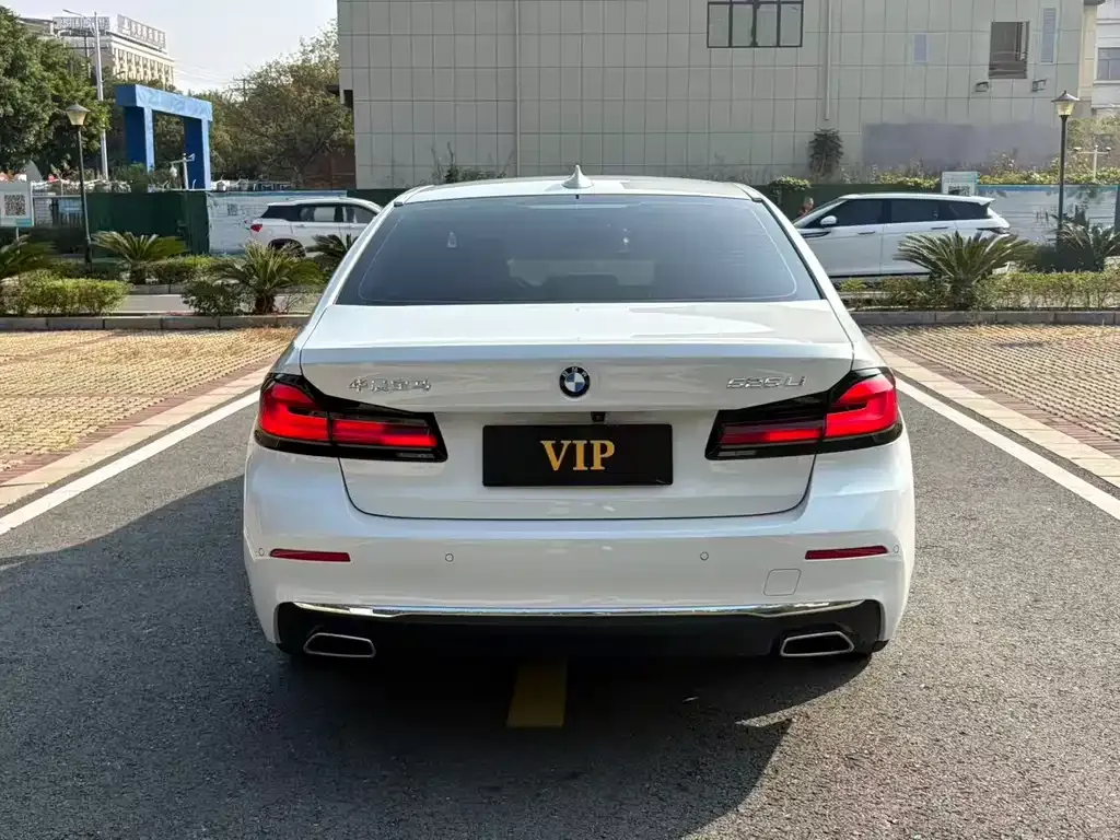 BMW 5 Series 2021 из CN, фото 8