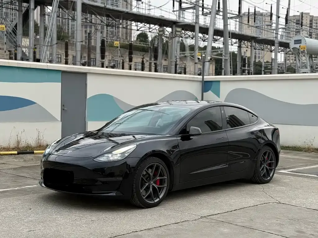 Tesla Model 3 2021 из CN, фото 1