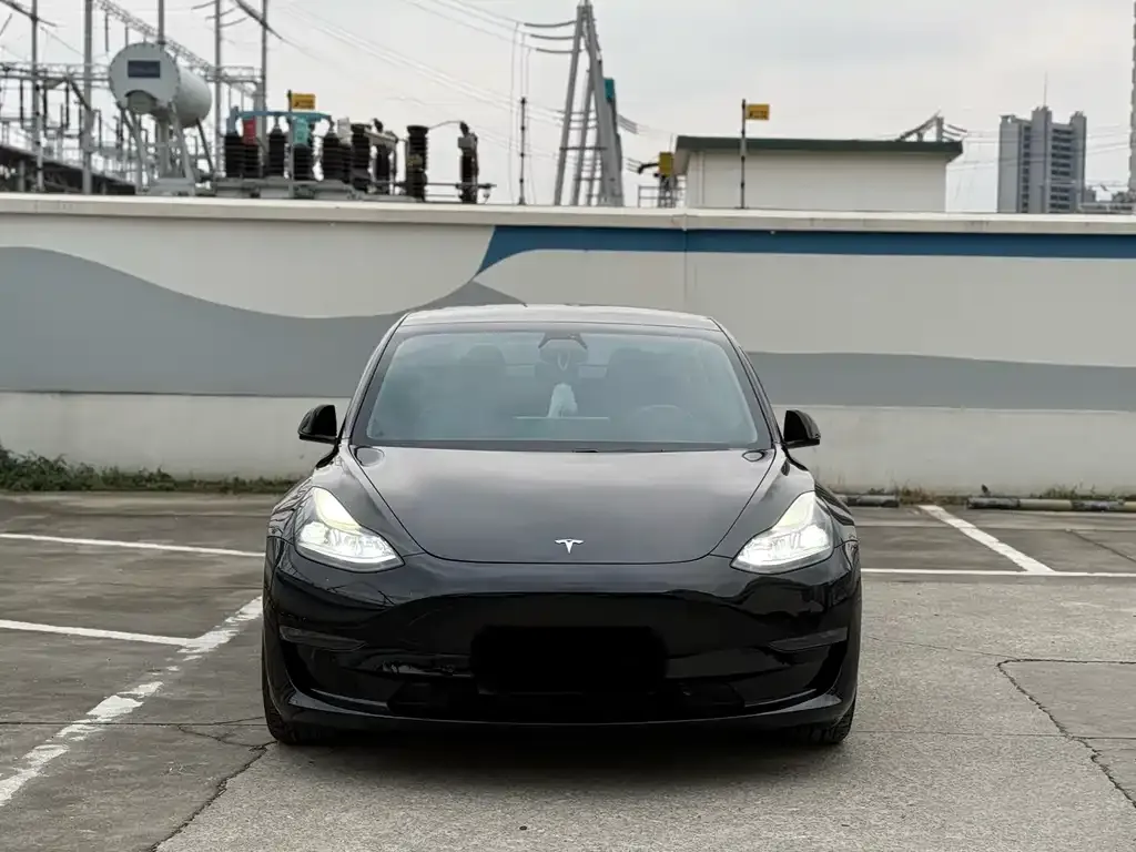 Tesla Model 3 2021 из CN, фото 3