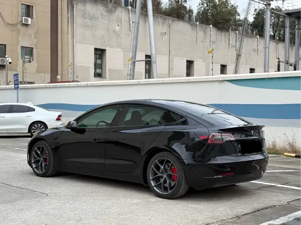 Tesla Model 3 2021 из CN, фото 5