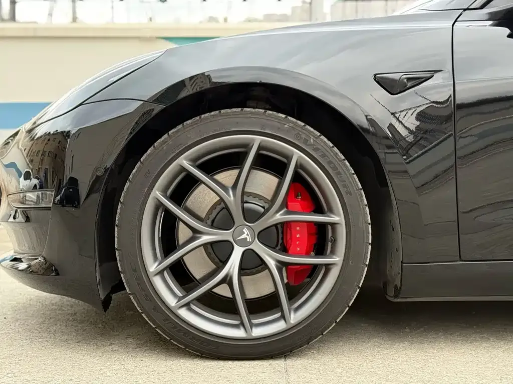 Tesla Model 3 2021 из CN, фото 6
