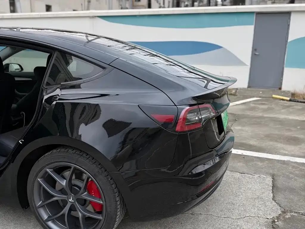 Tesla Model 3 2021 из CN, фото 2