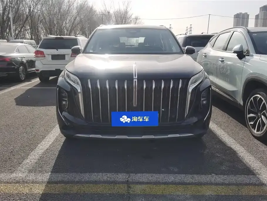 Hongqi HS7 PHEV 2024 из CN, фото 6
