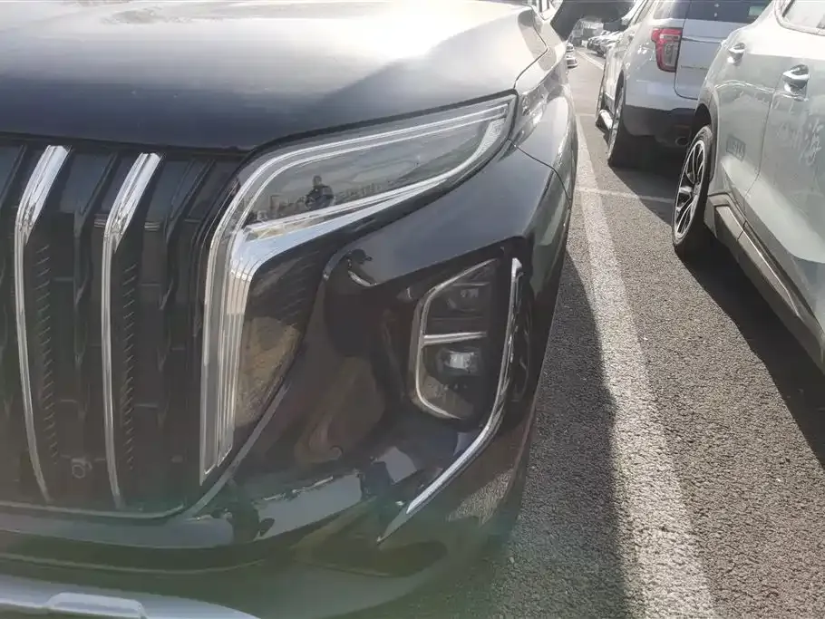 Hongqi HS7 PHEV 2024 из CN, фото 3