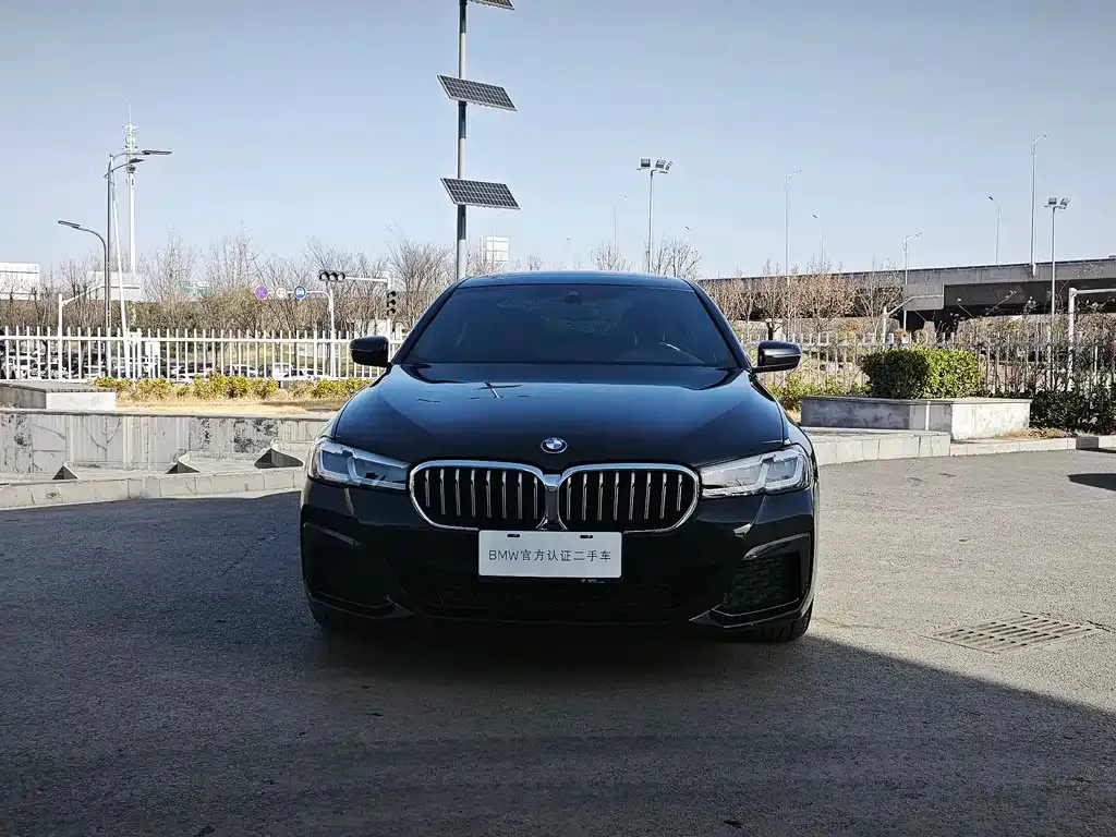 BMW 5 Series 2022 из CN, фото 4