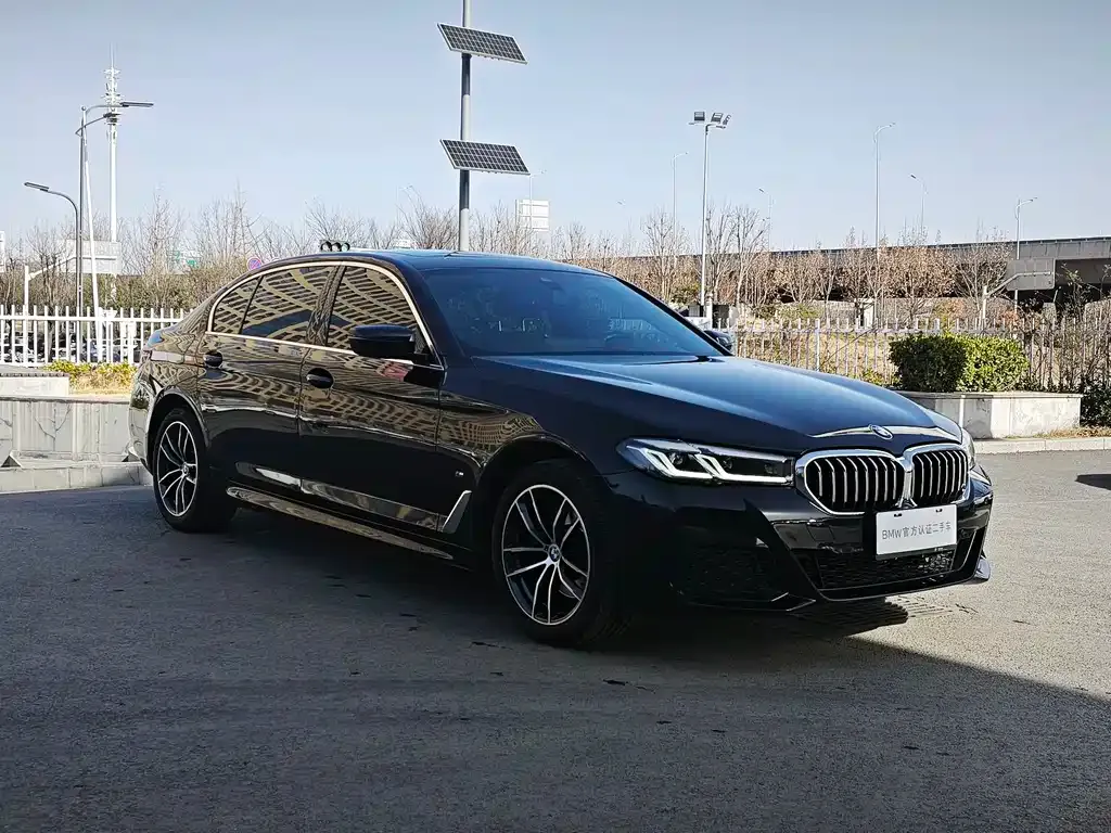 BMW 5 Series 2022 из CN, фото 7