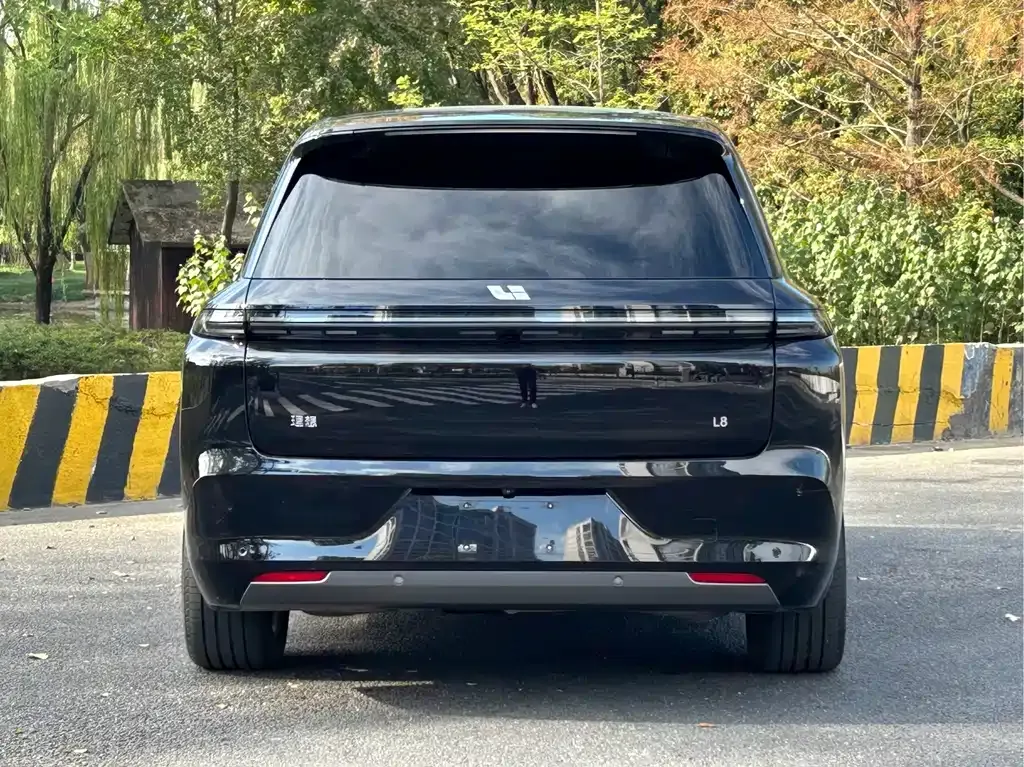 Li Auto L8 2023 из CN, фото 6