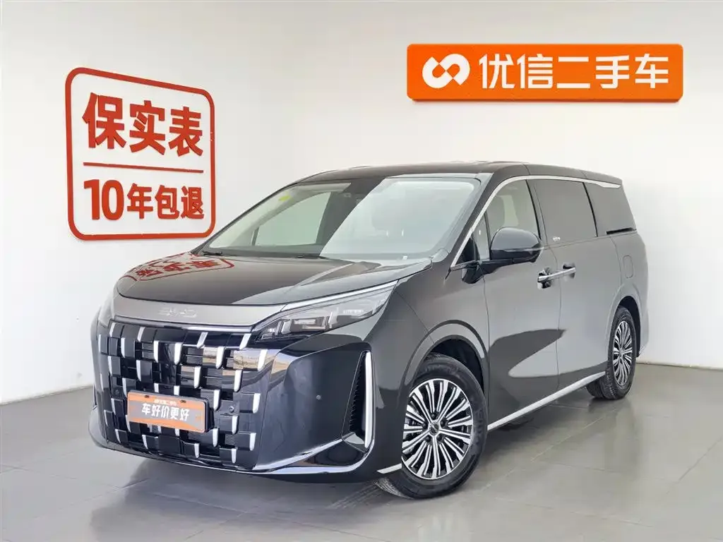 BYD M9