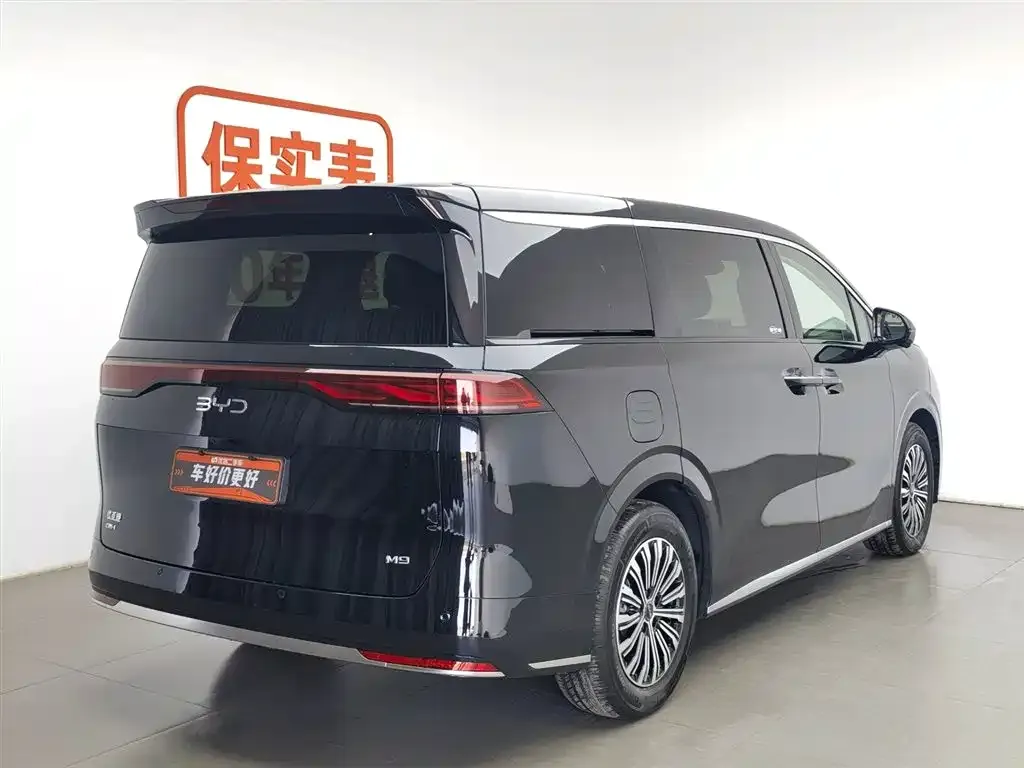 BYD M9 2025 из CN, фото 8