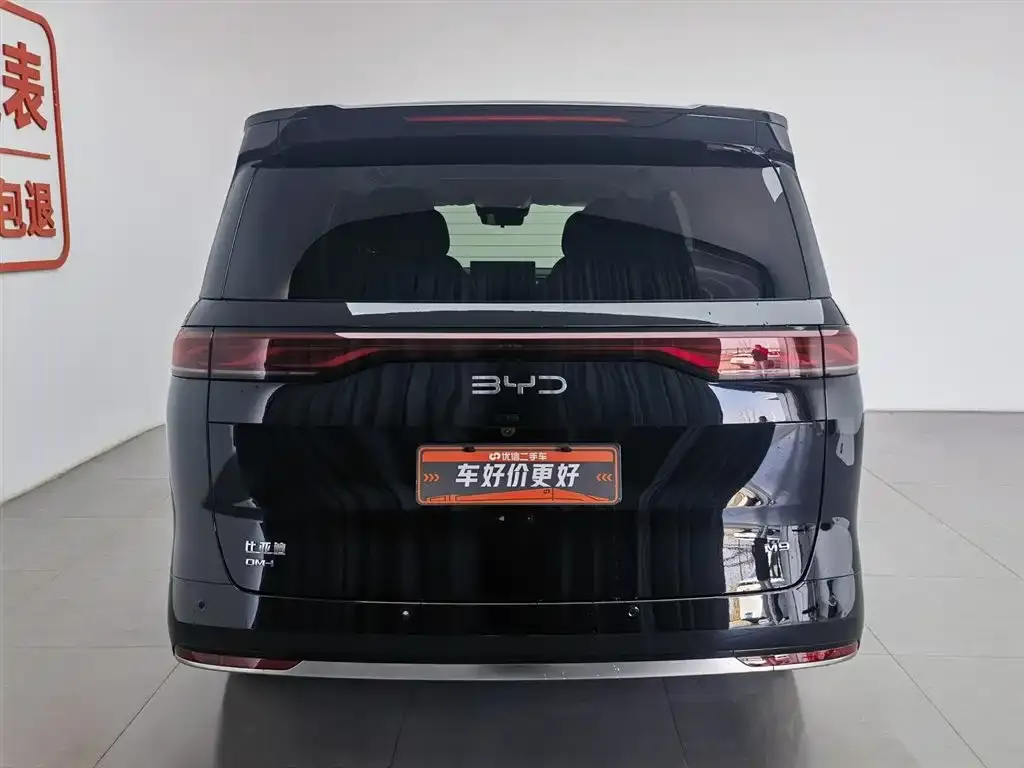 BYD M9 2025 из CN, фото 2