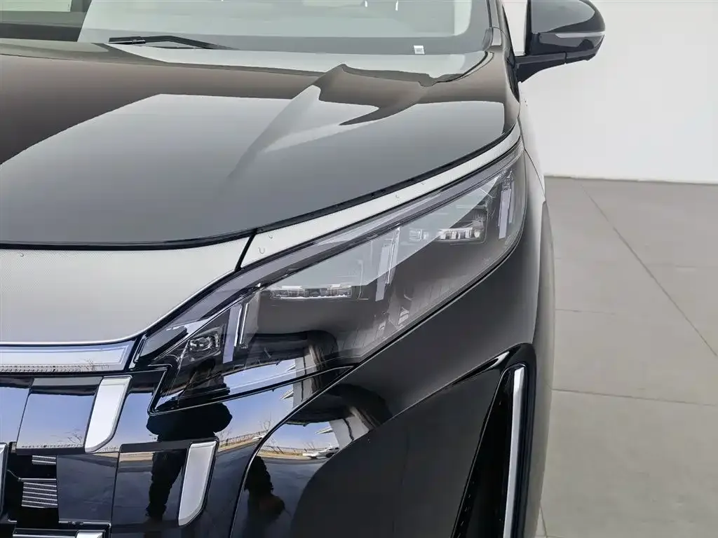 BYD M9 2025 из CN, фото 5