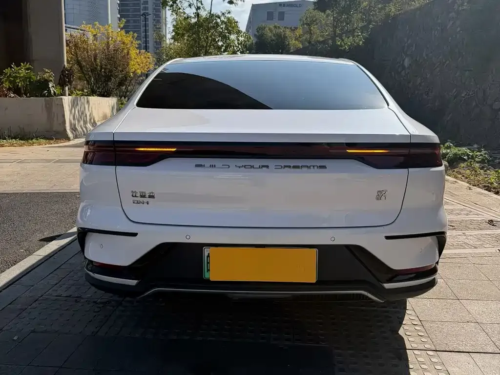 BYD Han 2022 из CN, фото 9