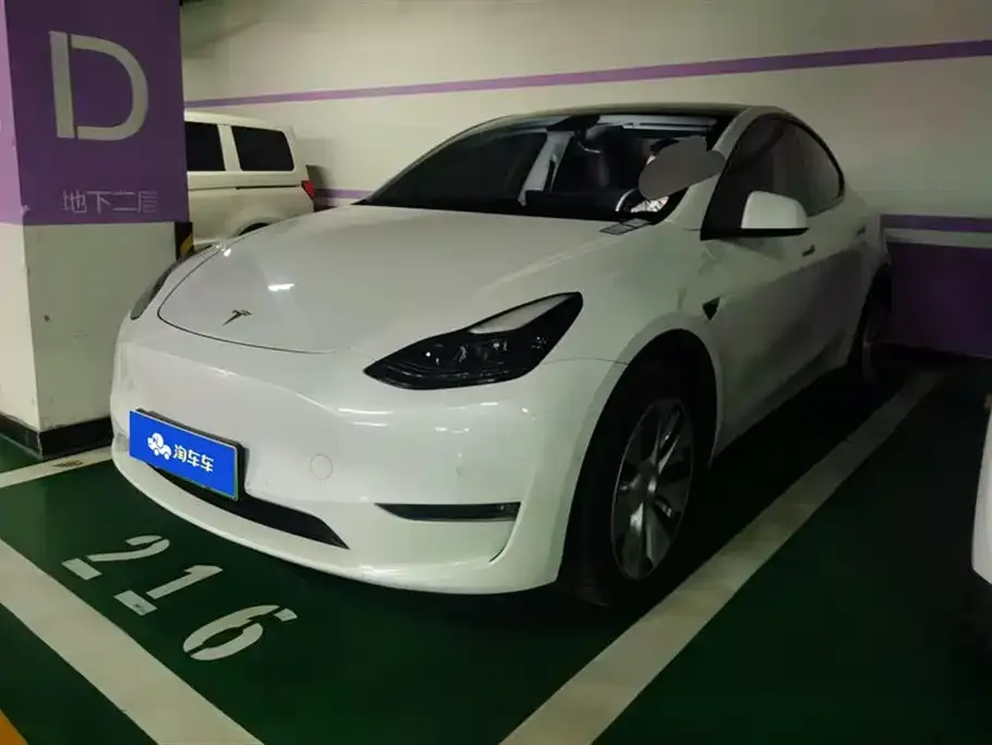 Tesla Model Y 2021 из CN, фото 1