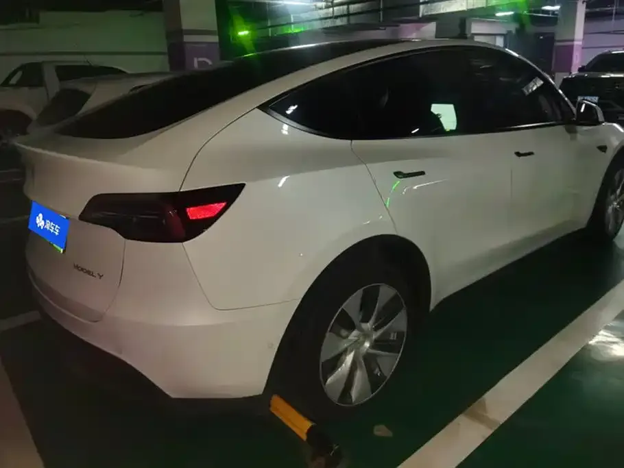 Tesla Model Y 2021 из CN, фото 7