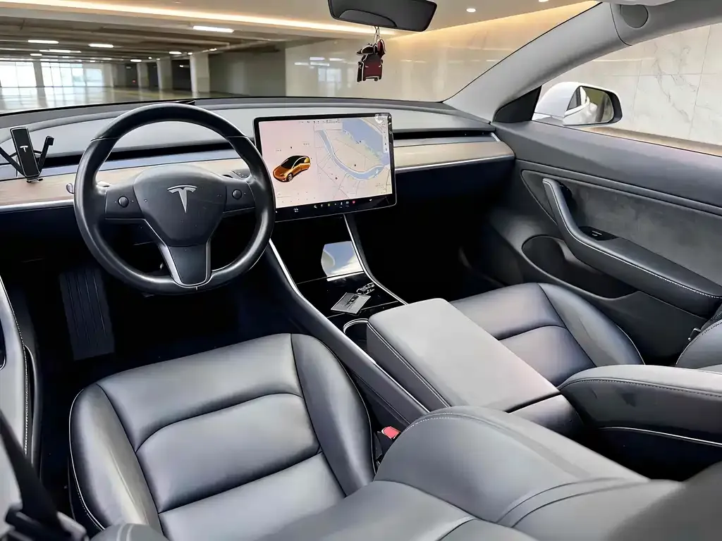 Tesla Model 3 2021 из CN, фото 4