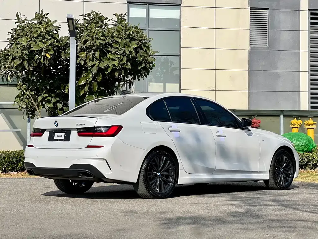 BMW 3 Series 2021 из CN, фото 4