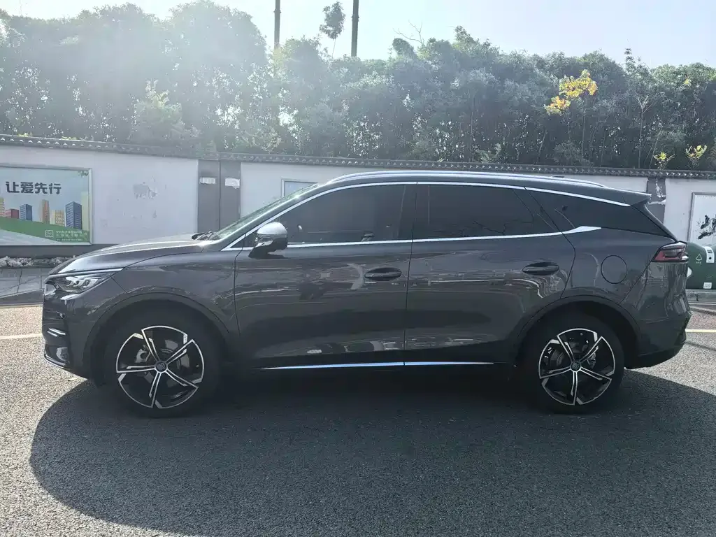 BYD Tang New Energy 2023 из CN, фото 6