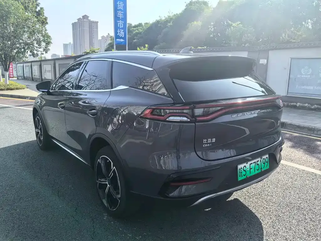 BYD Tang New Energy 2023 из CN, фото 2