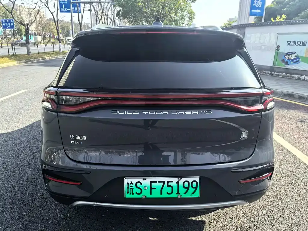 BYD Tang New Energy 2023 из CN, фото 4