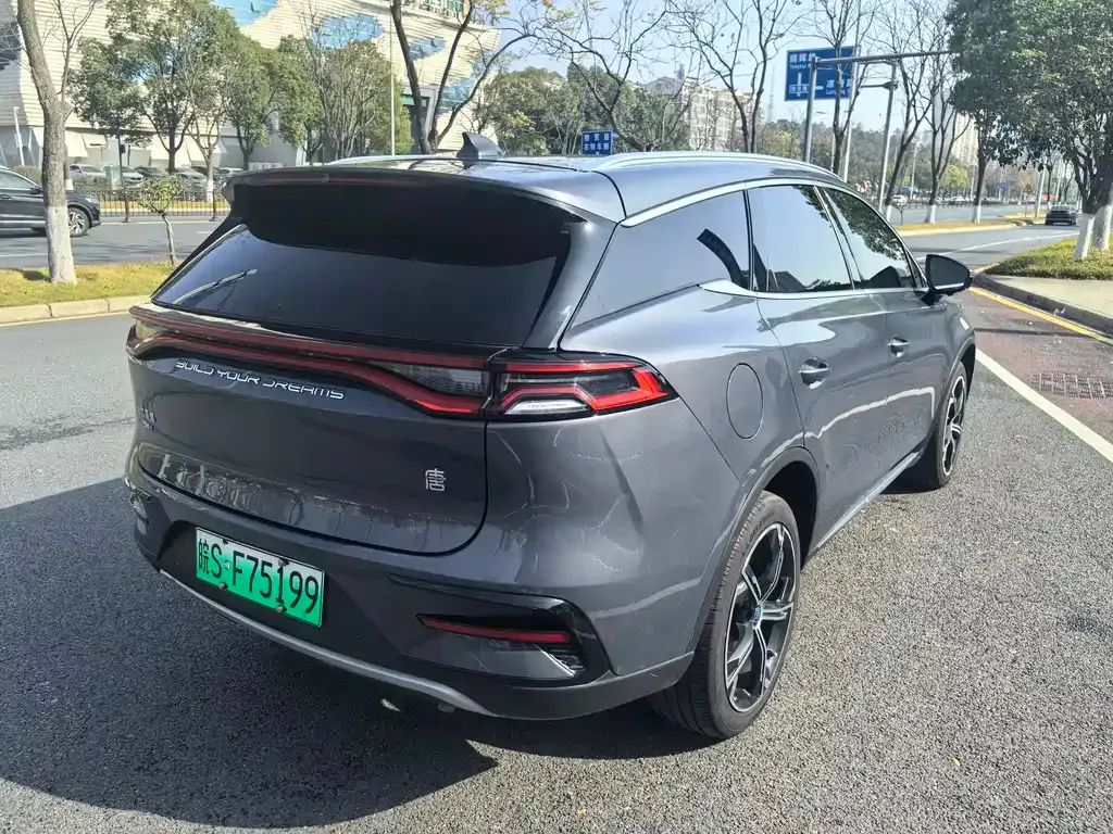 BYD Tang New Energy 2023 из CN, фото 10