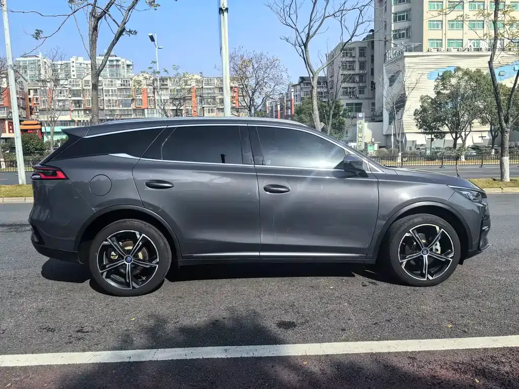 BYD Tang New Energy 2023 из CN, фото 5