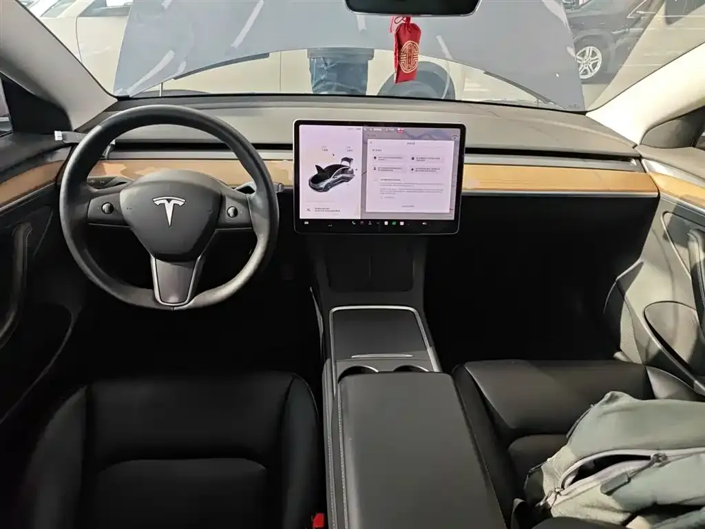 Tesla Model 3 2021 из CN, фото 10