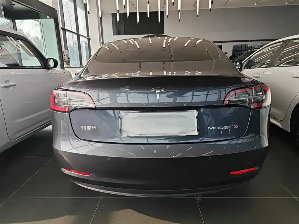 Tesla Model 3 2021 из CN, фото 6